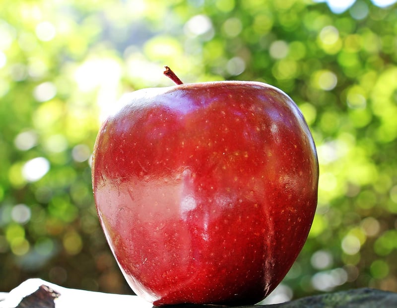 Healthy apple
